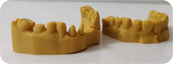 CAD CAM Işığa Duyarlı Reçine Kompozit Dental 3D Baskı modeli