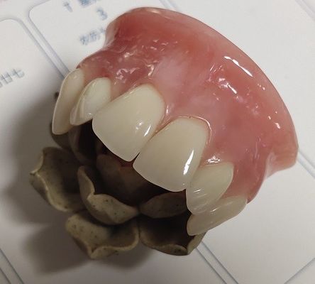 ISO13485 Konvansiyonel Protez Üst Akrilik Kısmi