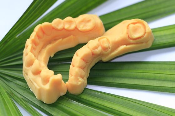 CAD CAM Işığa Duyarlı Reçine Kompozit Dental 3D Baskı modeli