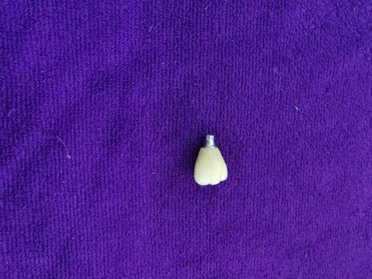 Tek Diş Trushine OSSETEM Dental Implant Fikstür Seviyesi